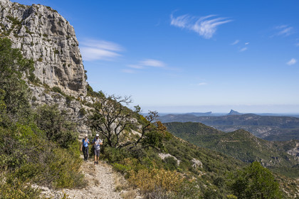 France, Hérault (34), les Causses et les Cévennes, paysage culturel de l'agro-pastoralisme méditerranéen inscrit au Patrimoine Mondial de l'UNESCO, Montpeyroux, randonneurs sur le sentier GR 74 du Mont Saint Baudille en direction de Saint-Guilhem-le-Désert, le Pic Saint-Loup faisant face à l'Hortus en arrière plan