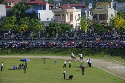 Vietnam, Lao Cai province, Bac Ha, annual race of horses