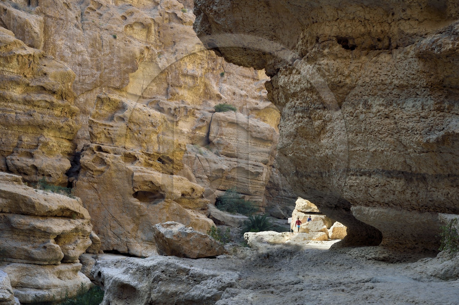 Sultanat d'Oman, région d'Ash Sharqiyah, Tiwi, randonneurs dans le Wadi ash Shab