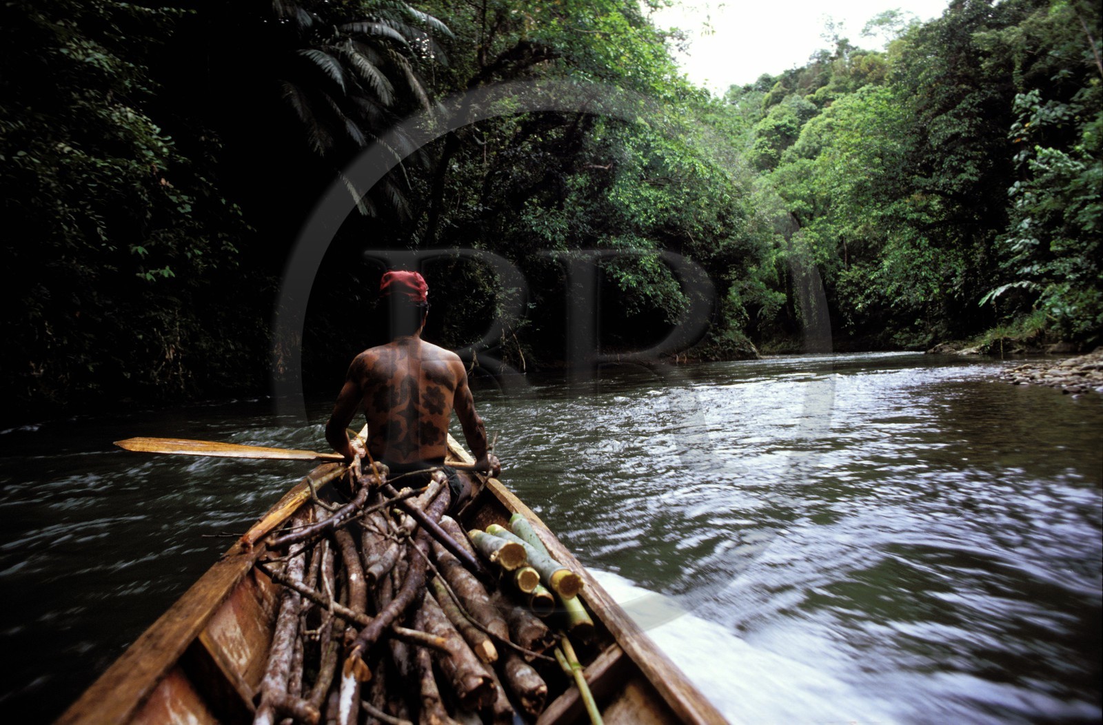 Malaisie, île de Bornéo, Sarawak, guerrier Iban, tribu des Dayaks (anciens coupeurs de têtes) remontant une rivière sur sa pirogue