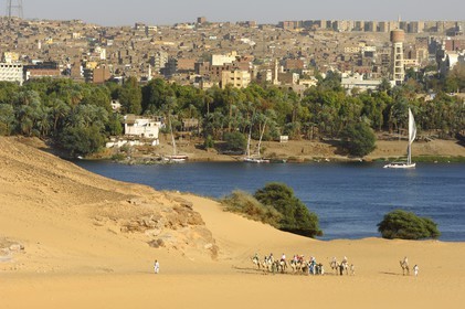 Egypte, Haute Egypte, Nubie, vallée du Nil, Assouan, la ville et dromadaires sur les dunes de sables de la rive gauche