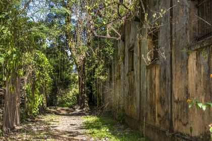 France, Guyane, Kourou, Iles du Salut, l'Ile Saint-Joseph, ruine du bagne consacré à la réclusion des prisonniers les plus difficiles