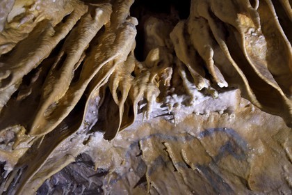 France, Dordogne (24), Périgord Vert, Villars, Grotte de Villars, dessin paléolithique au dioxyde de manganèse surnommé le Petit Cheval bleu datant d' environ 17000 ans (Magdalénien)