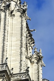 France, Paris, area listed as World Heritage by UNESCO, the banks of the Seine, classified World Heritage by UNESCO, the Notre-Dame Cathedral under the snow on the Ile de la Cité, gargoyles