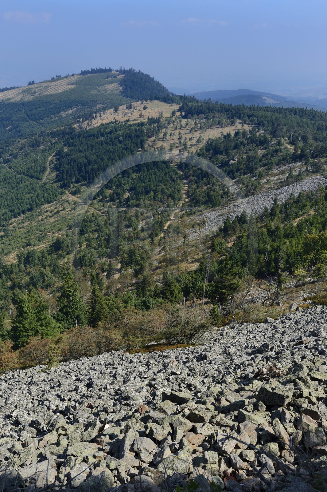 France, Loire (42), Parc Naturel Régional du Pilat, chirat (nom local donné aux coulées de blocs rocheux qui recouvrent les versants sous formes d'éboulis) au Crêt de l'Oeillon dans le massif du Pilat