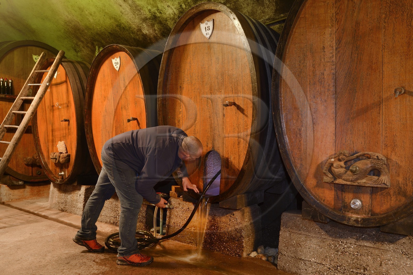 France, Bas-Rhin (67), Route des Vins d'Alsace, Mittelbergheim, labellisé Les Plus Beaux Villages de France, cave du Domaine Wittmann, nettoyage de l'intérieur d'un grand fût aussi appellé foudre