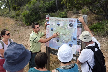 France, Var, Agay area next to Saint-Raphael, Massif de l'Esterel (Esterel Massif), hiking in the massif of Cap Roux, Christophe Pint-Girardot agent of the french National Forest Office (ONF)