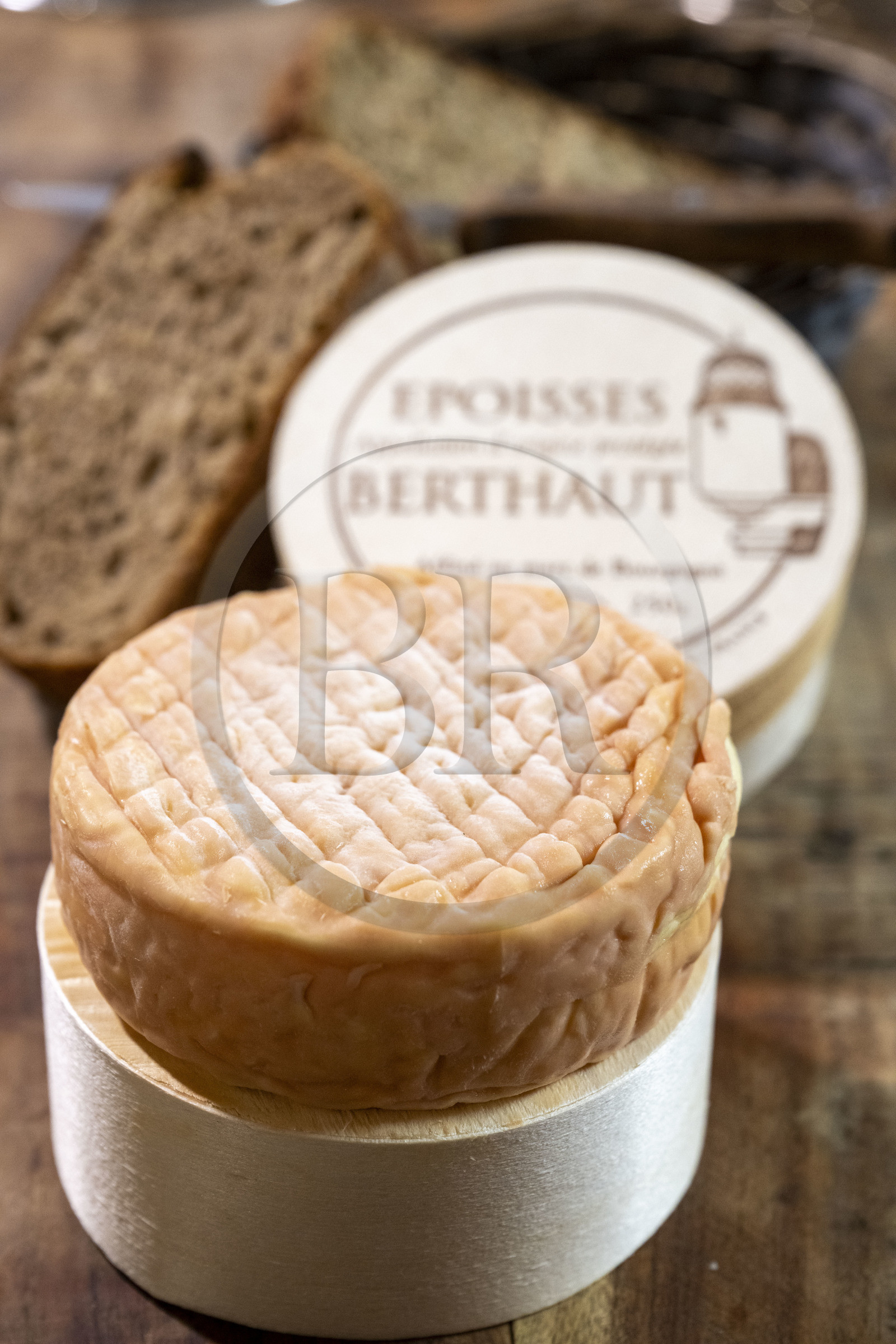 France, Côte-d'Or (21), Epoisses, le château d'Epoisses