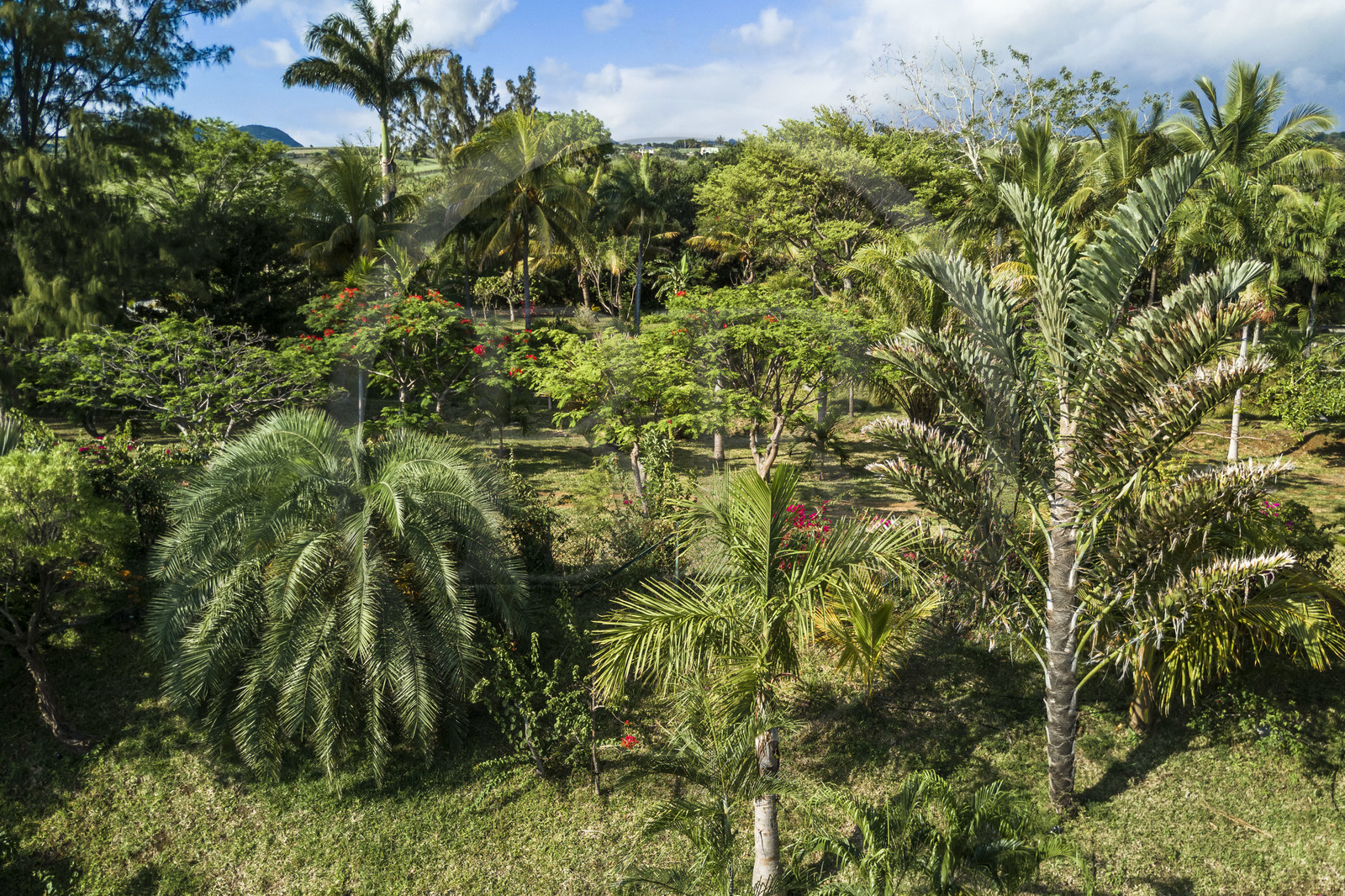France, Ile de la Reunion, Petite-Ile, jardin tropical (vue aérienne)
