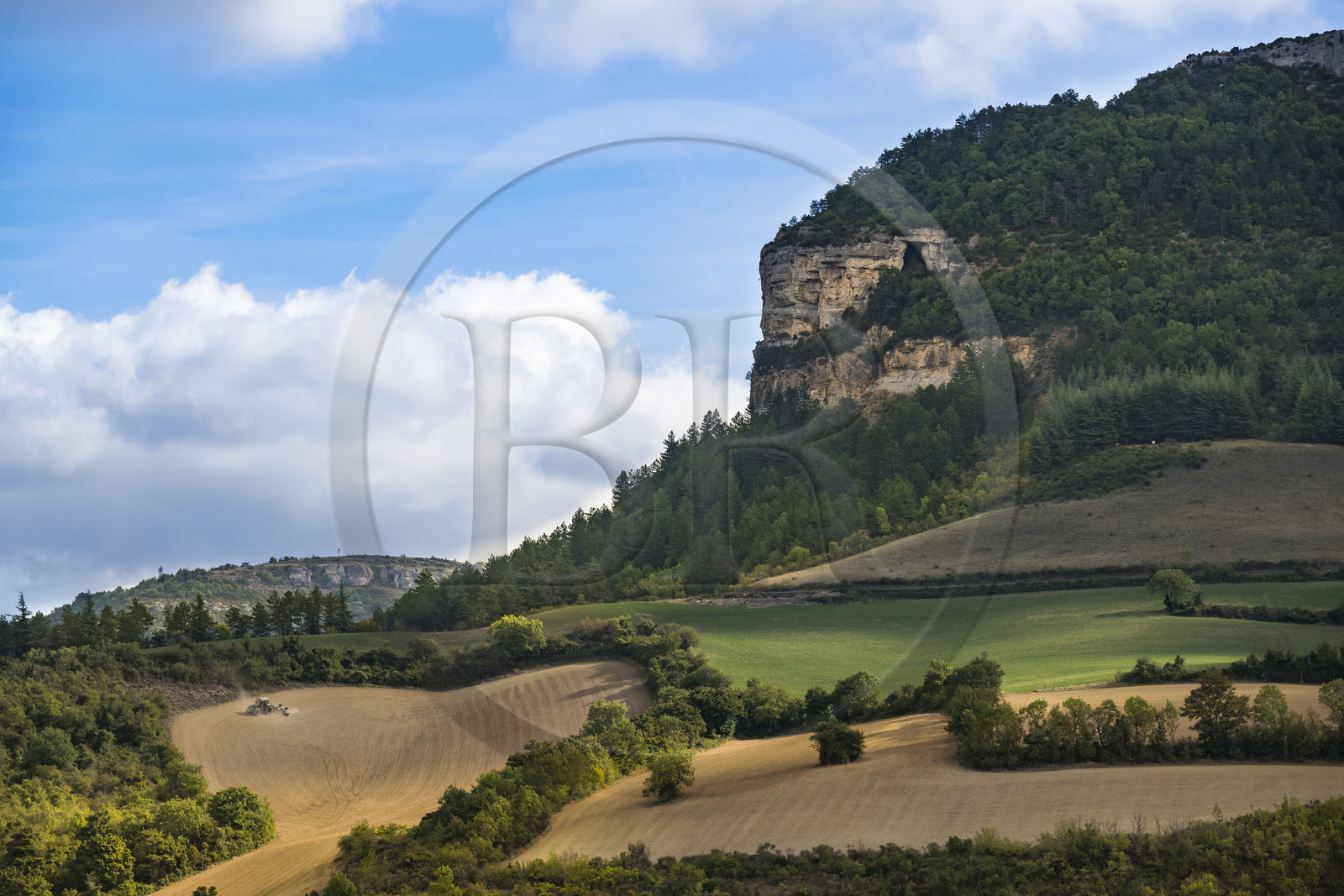 France, Aveyron (12), parc naturel régional des Grands-Causses, Roquefort-sur-Soulzon, le rocher du Combalou abritant les fleurines des caves de Roquefort