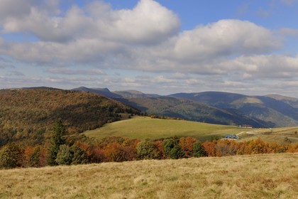 France, Haut-Rhin (68), la route des Crêtes, vue vers le Hohneck à la hauteur du col d'Hahnenbrunnen