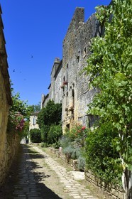 France, Dordogne (24), Périgord Pourpre, Beaumont-du-Périgord, maisons fortifiées dans l'ancienne enceinte de la bastide