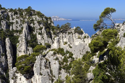 France, Bouches du Rhone, Marseille, National Park of the Calanques, Calanque En Vau (cove) and the Riou Archipelago in the background (request for authorization necessary before publication)