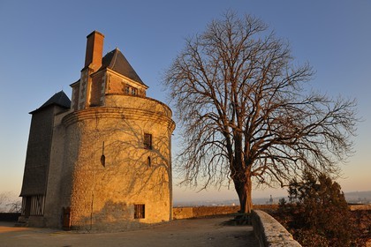 France, Loir-et-Cher (41), vallée de la Loire classée au Patrimoine Mondial de l'UNESCO, château de Blois, la tour du Foix