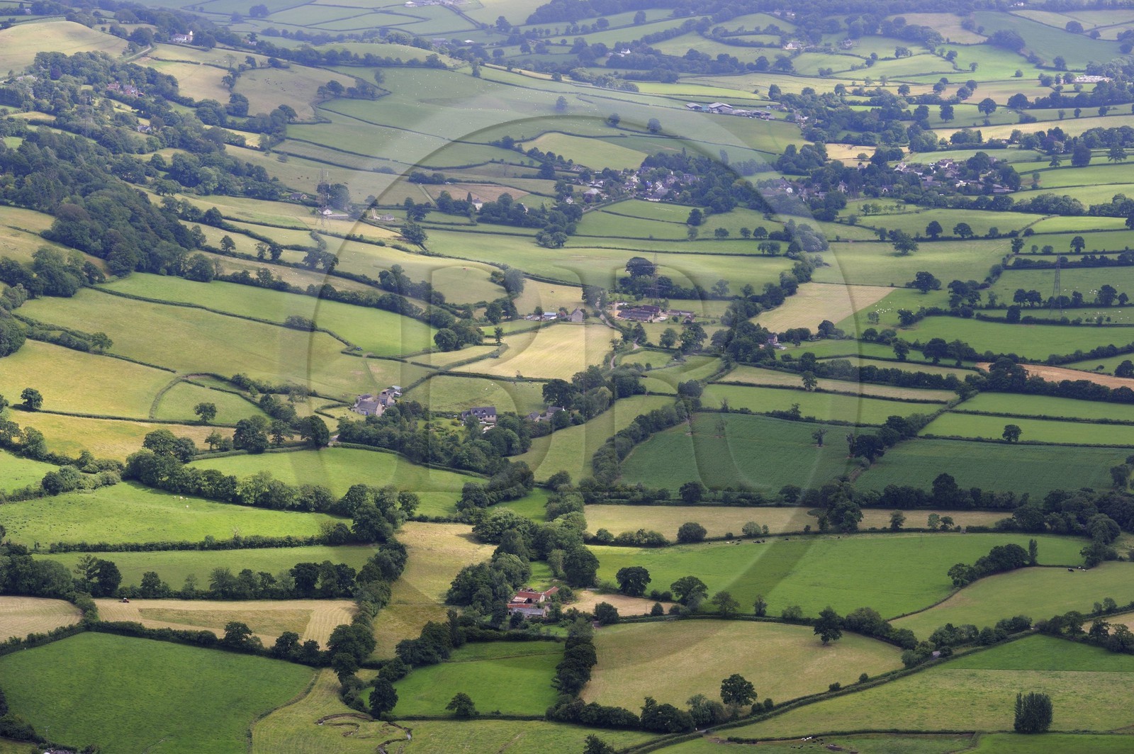Royaume-Uni, Angleterre, Dorset, champs et bocages dans la région de Honiton (vue aérienne) Royaume-Uni, Angleterre, Dorset, champs et bocages dans la région de Honiton (vue aérienne)