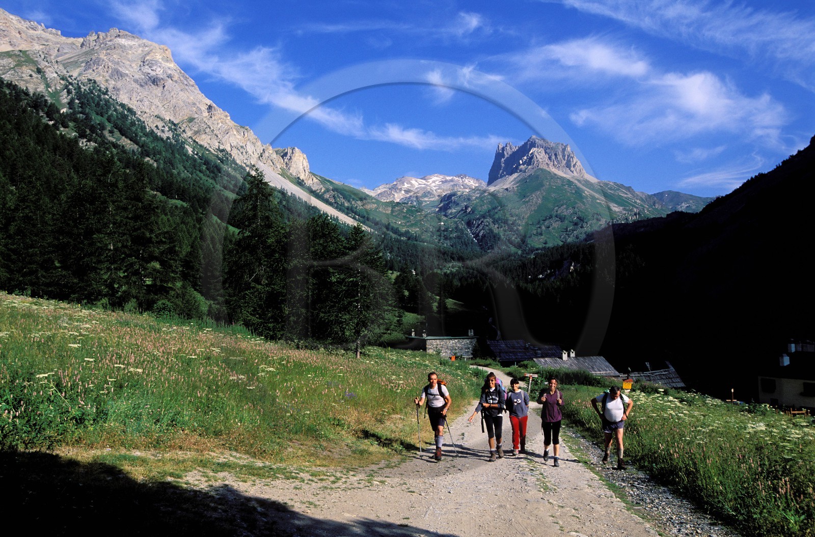 France, Hautes-Alpes (05), randonneurs dans la Vallée Etroite au nord de Briançon