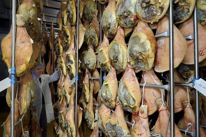 France, Pyrenees Atlantiques, Basque Country, Aldudes valley, the Aldudes collective dryer ensures the drying and the ripening of hams, beginning of the drying process