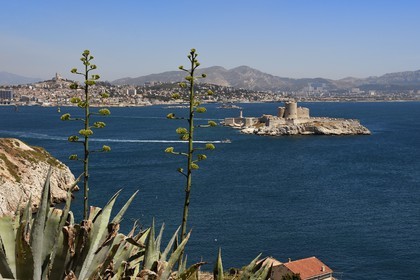 France, Bouches du Rhone, Marseille, Calanques National Park, archipelago of Frioul islands, the Chateau d'If and the city of Marseille in the background