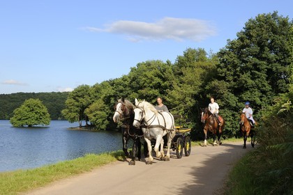 France, Nièvre (58), lac de Pannecière, Alain Perruchot agriculteur et éleveur de chevaux au commande de son attelage