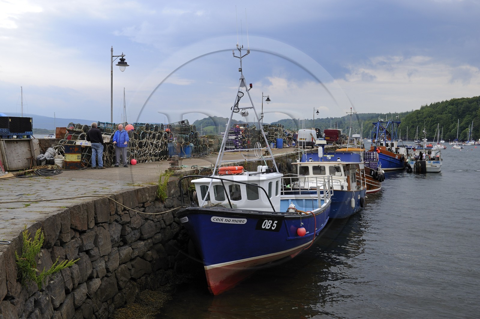 Royaume-Uni, Ecosse, Highland, Hébrides intérieures, Ile de Mull, port de Tobermory