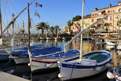 France, Var, Sanary-sur-Mer, traditional fishing boats called pointus in the port