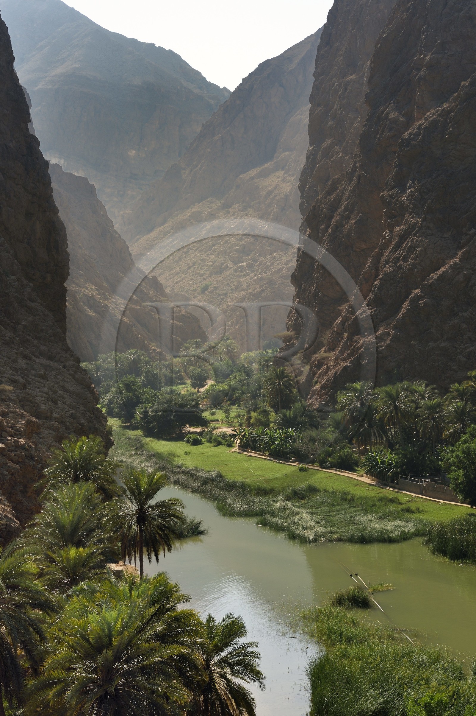 Sultanat d'Oman, région d'Ash Sharqiyah, Tiwi, l'entrée du canyon du Wadi ash Shab
