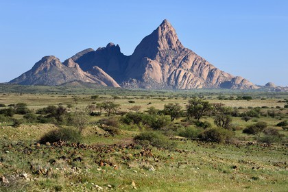 Namibie, région de Erongo, Damaraland, le Petit Spitzkoppe ou Spitzkop (1784 m), montagne granitique dans le désert du Namib