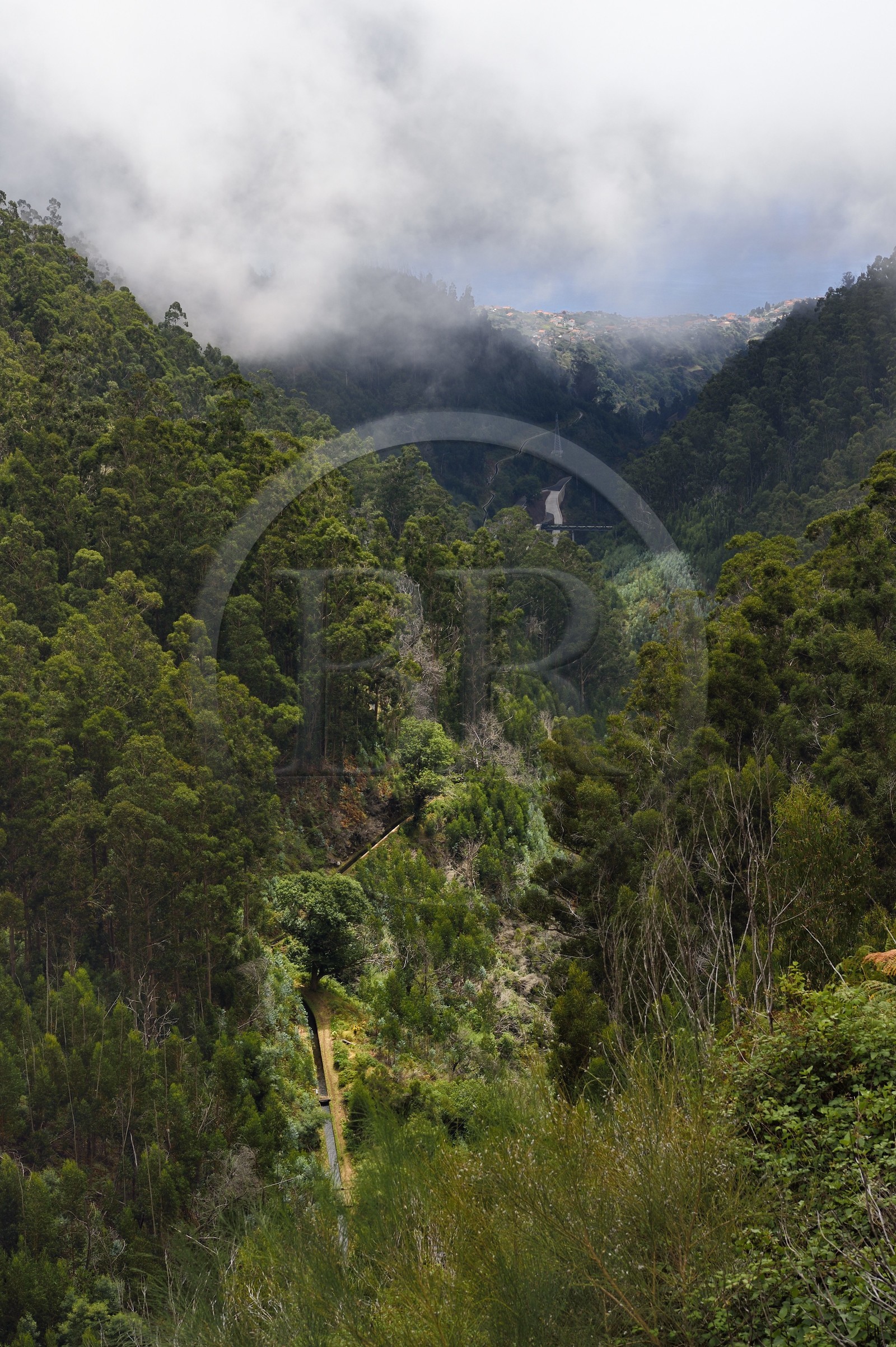 Portugal, Ile de Madère, la Levada da Rocha Vermelha dans la vallée de Calheta Portugal, Ile de Madère, la Levada da Rocha Vermelha dans la vallée de Calheta