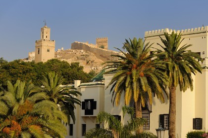 Morocco, Middle Atlas, Fez, Imperial City, Sofitel Palais Jamai Hotel under the minaret of Bab Guissa Mosque and city walls
