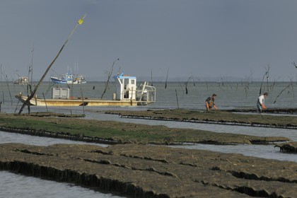 France, Charente-Maritime (17), le bassin Marrennes-Oléron au large de l'Ile d'Oléron, chaland dans les parcs à huîtres