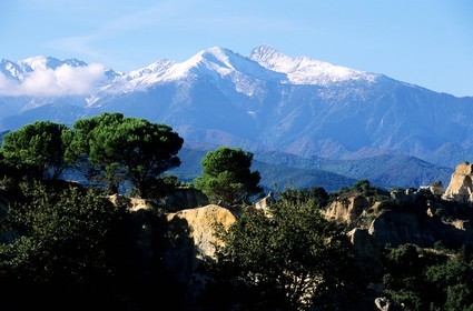 France, Pyrenees Orientales, orgues site in the Riberal in front of Canigou massif