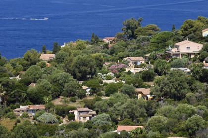 France, Var (83), Iles d'Hyères, Parc national de Port Cros, Ile du Levant, domaine naturiste d'Héliopolis