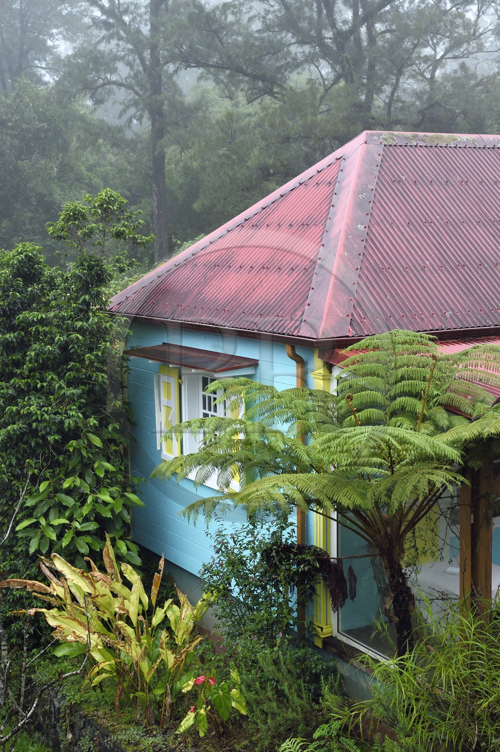 France, Ile de la Reunion, Cirque de Salazie, classé Patrimoine Mondial de l'UNESCO, Hell-Bourg, labellisé les Plus Beaux Villages de France, une des cases de l'hotel Les Jardins d'Héva