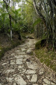 Brazil, Rio de Janeiro State, Paraty, former Gold Trail (Estrada Real)