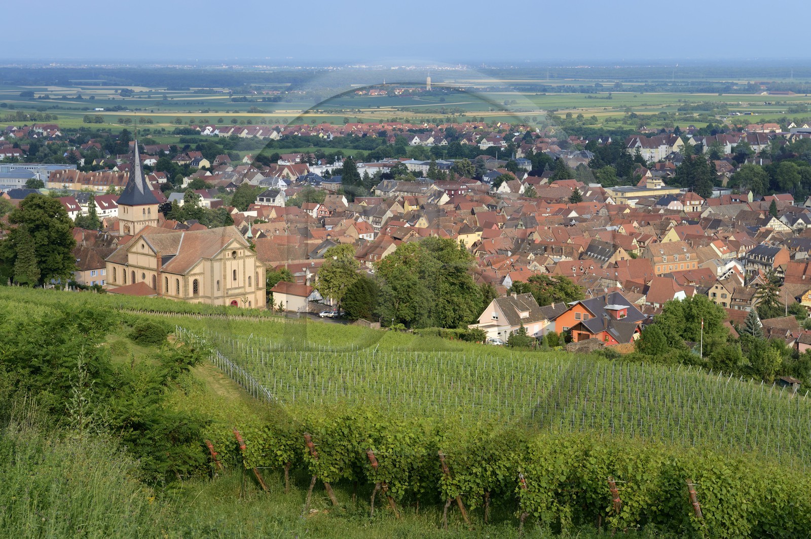 France, Bas-Rhin (67), Route des Vins d'Alsace, Barr, église protestante Saint-Martin