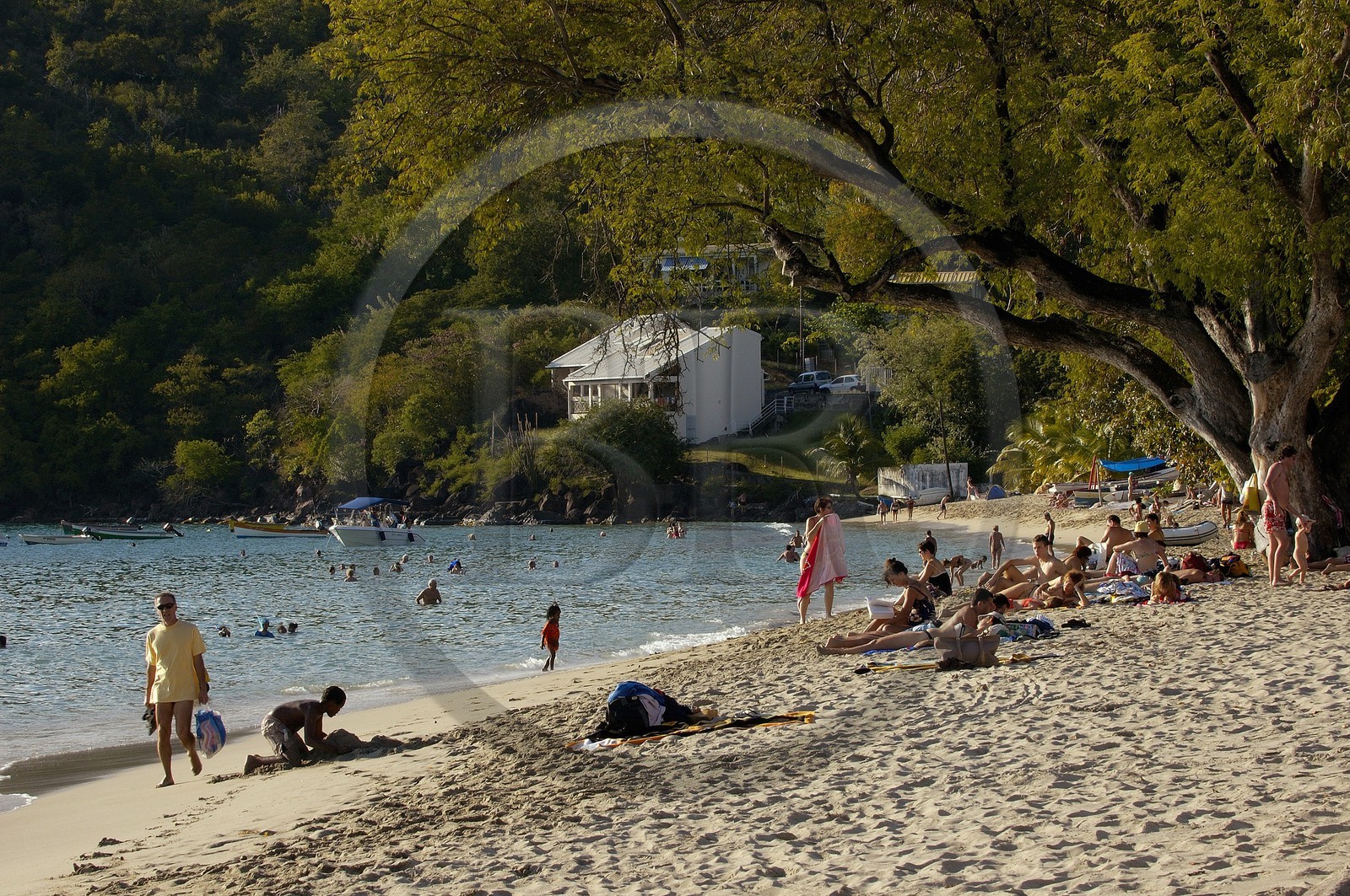 France, Martinique, plage des Anses-d'Arlet sur la c