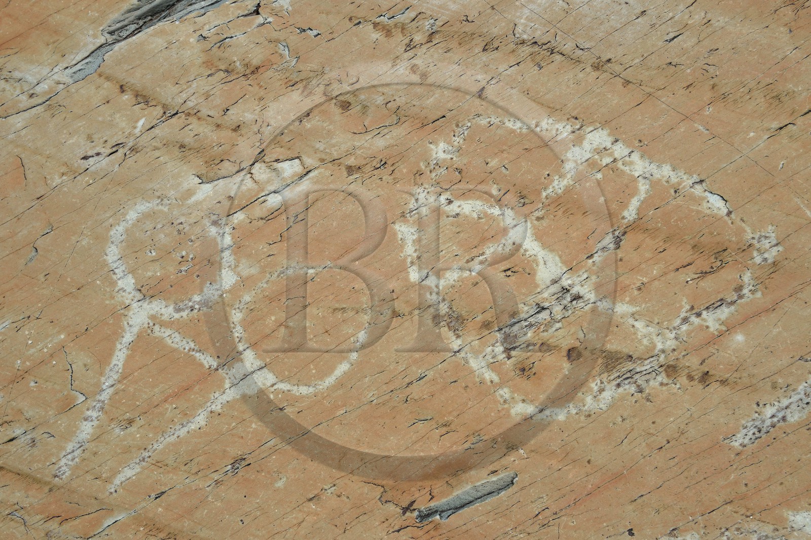 France, Alpes-Maritimes (06), parc national du Mercantour, Vallée des Merveilles parsemée de milliers de gravures rupestres de l'Age de bronze, dalle de schiste appelée la Roche de l’Autel gravée de figures corniformes représentant probablement un attelage de boeufs à gauche et un réticulé de cases qui symboliserait les champs cultivés à droite