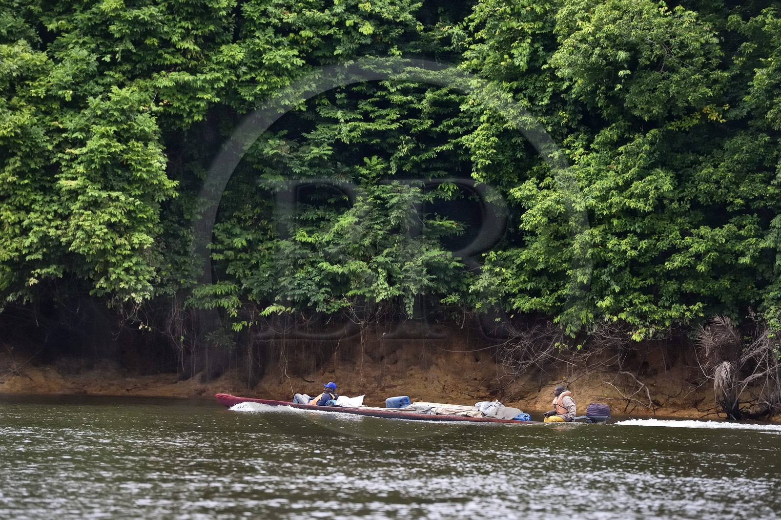 Gabon, Province du Moyen-Ogooué, région de Lambaréné, pirogue à moteur remontant le fleuve Ogooué