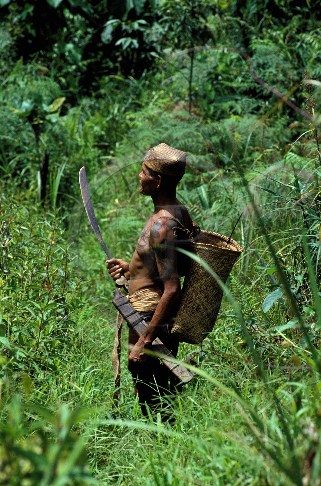Malaisie, île de Bornéo, Sarawak, guerrier Iban en pays Sarawak brandissant son parang (sabre)