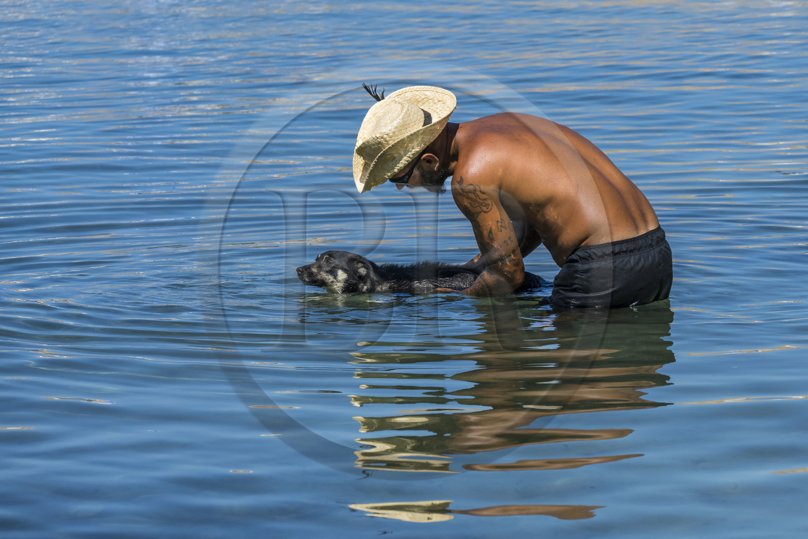 France, Alpes-Maritimes, Cannes, Lerins Islands, Saint-Honorat island, a master bathes his dog in the sea