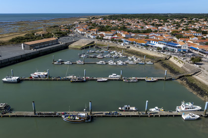 France, Charente Maritime, Oleron island, fishing port of La Cotinière (aerial view)