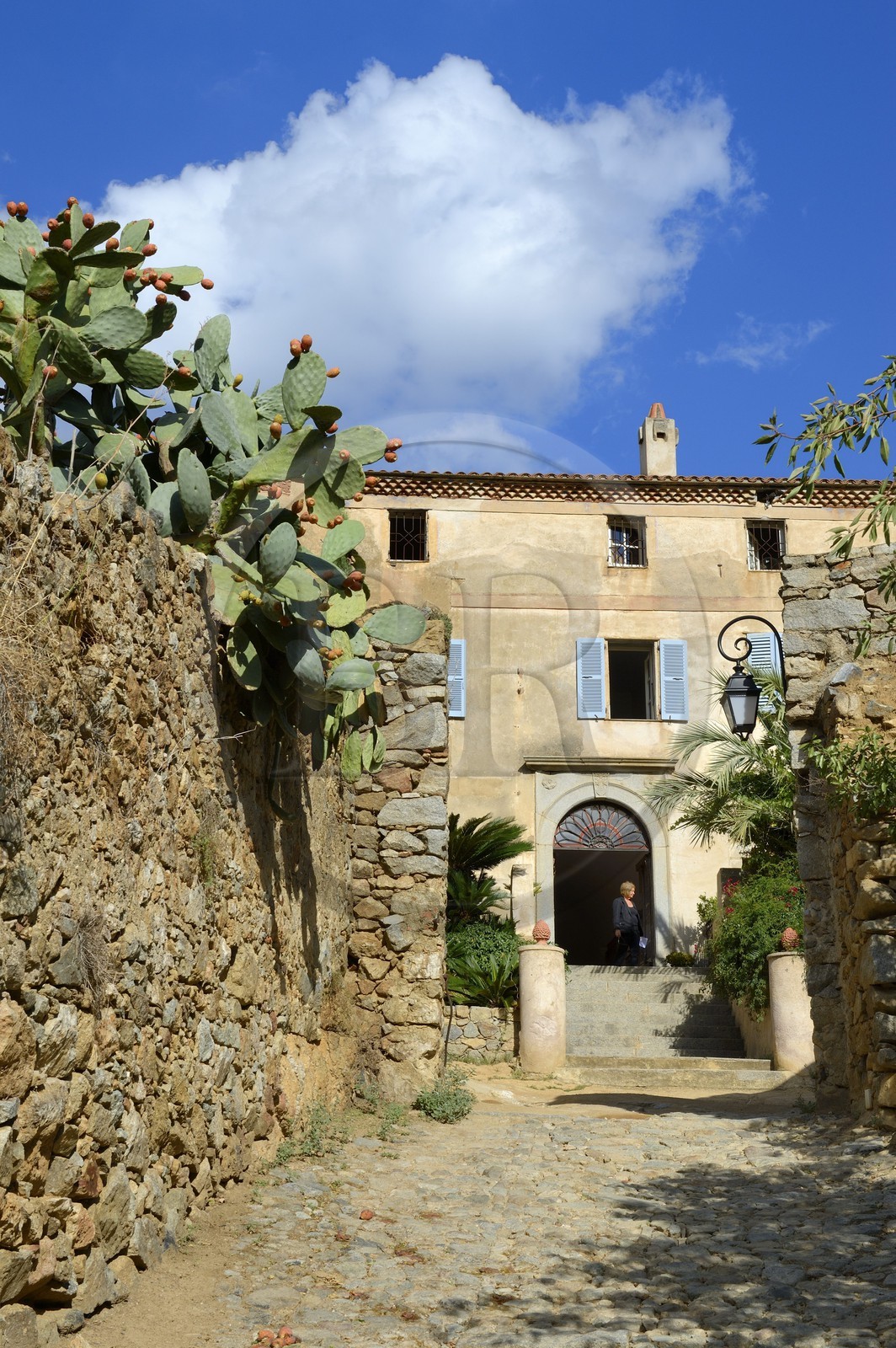 France, Haute-Corse (2B), Balagne, village perché de Pigna France, Haute-Corse (2B), Balagne, village perché de Pigna