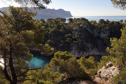 France, Bouches du Rhone, Cassis, National Park of the Calanques, Calanque de Port Miou (cove) and the cliffs of Cap Canaille in the background (request for authorization necessary before publication)