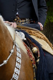 Argentina, Buenos Aires Province, San Antonio de Areco, Tradition Day festival (Dia de Tradicion), detail of the saddlery and bolas (or boleadoras) hanging from the saddle