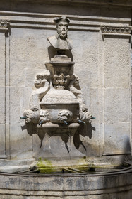 France, Bouches du Rhone, Regional Natural Park of the Alpilles, Saint Remy de Provence, Nostradamus fountain
