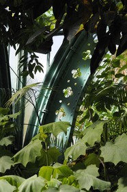 France, Paris (75),  Jardin des Serres d'Auteuil, detail de la structure metallique de la grande serre
