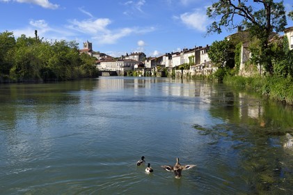 France, Charente-Maritime, Saintonge, Saint Savinien, labeled stones and water villages, houses on the banks of the Charente river
