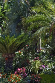 France, Alpes-Maritimes (06), Menton, quartier de Garavan, le jardin de Maria Serena