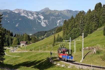 Switzerland, Canton of Vaud, Villars-sur-Ollon, train to the Bretaye pass station, at Col de Soud restaurant