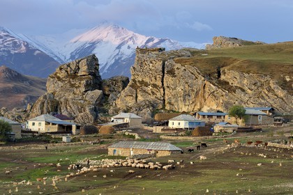 Azerbaijan, Quba (Guba) region, Greater Caucasus mountain range, village of Giriz at dawn, departure of sheep for the meadows